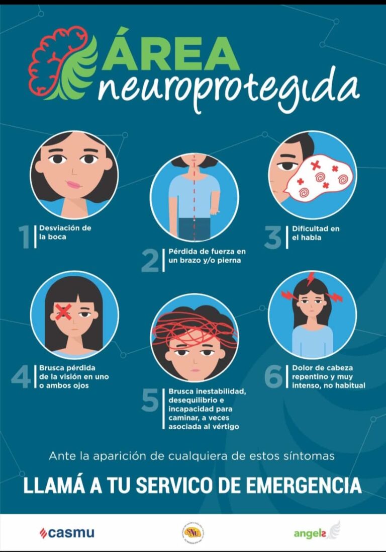 WhatsApp Image 2025-11-05 at 2.59.31 PM